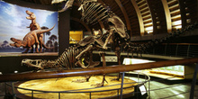 Vista de conjunto con gráfico de Tyrannosaurus rex (Dinosauria,