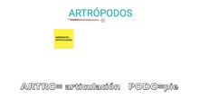 ARTRÓPODOS