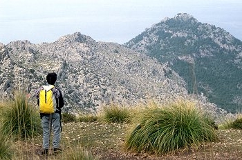 Sierra de Mallorca