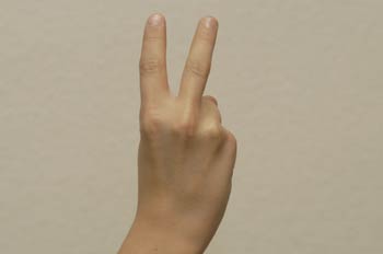 Lenguaje de signos, U