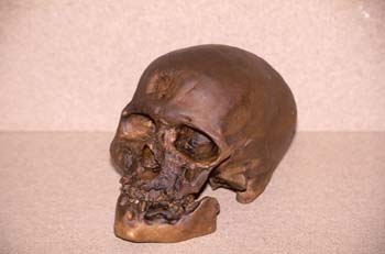 Homo sapiens sapiens (Mamíferos-Homínidos) Holoceno