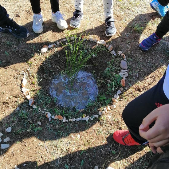 Salida Bosque Sur.3º de Primaria. Octubre 2019 7