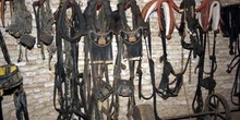 Colleras, bocados y otros utensilios para las caballerías