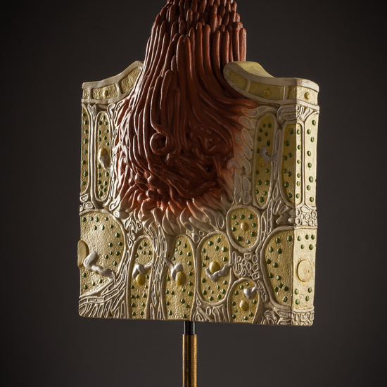 IES_SANISIDRO_BIOLOGIA_244