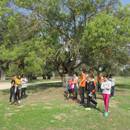 EN MÚLTIPLE 6º - 2019 (2ª Parte) 25