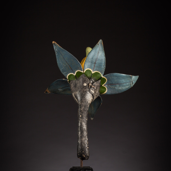 IES_ISABELLACATOLICA_BIOLOGIA_016