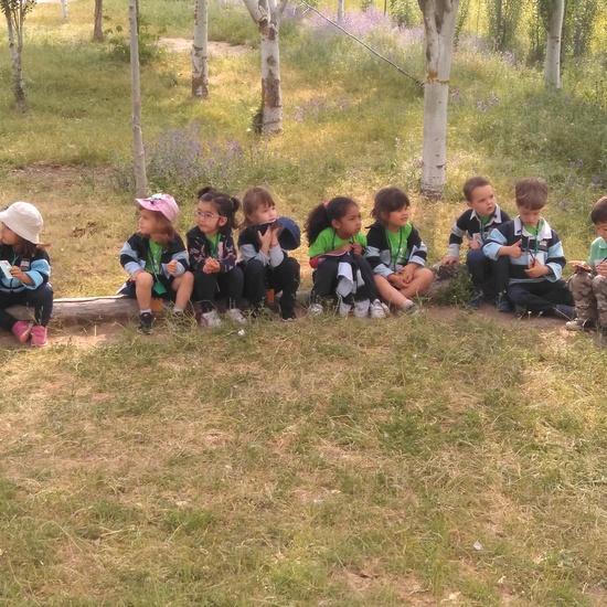 Infantil 3 años en la granja_CEIP Fernando de los Ríos_Las Rozas_2017-2018 9