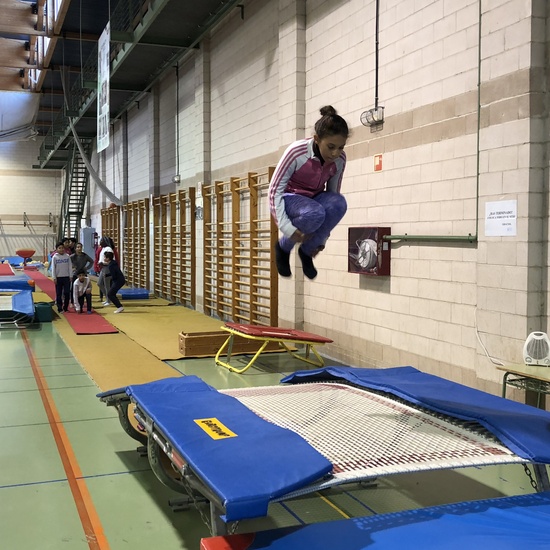 Gimnasia de trampolín 2 12