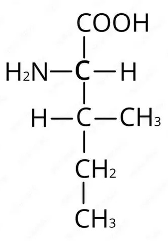 L-isoleucina