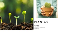 PDF Actividades. Las plantas