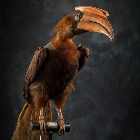 IES_SANISIDRO_BIOLOGIA_288