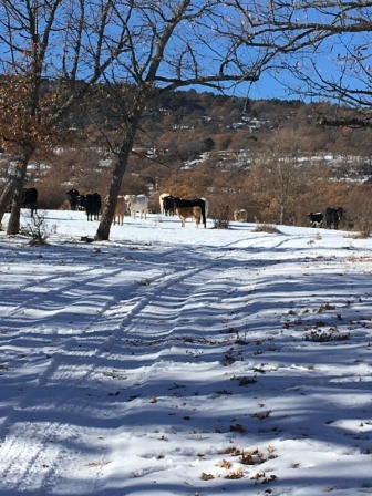 2017_12_04_EXCURSION CUARTO NIEVE 2 8