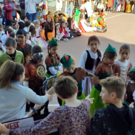 CARNAVAL CIUDAD PEGASO FEBRERO '20 VII 1