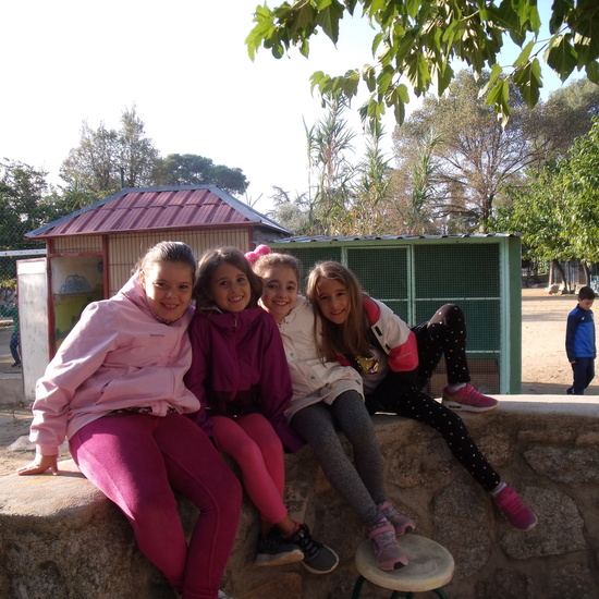 NOCHE MÁGICA 2019 (2ª parte) 34