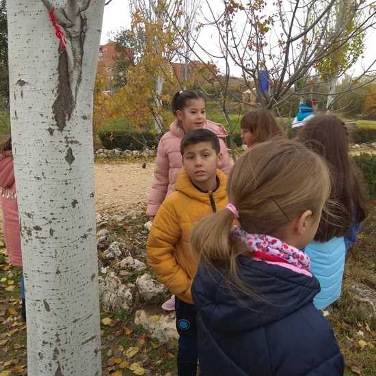 REVOLOTEANDO POR BOSQUE SUR -  3º PRIMARIA (CURSO 19/20) 11
