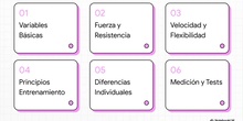 Explicación Teoría el entrenamiento 1º Bachillerato (IA)