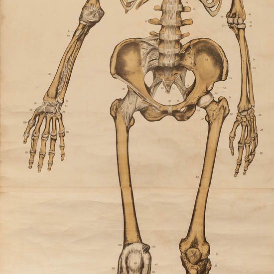 IES_RAMIRODEMAEZTU_BIOLOGIA_012