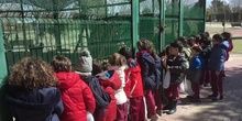 INFANTIL - 5 AÑOS A - SALIDA ARQUEOPINTO - ACTIVIDADES