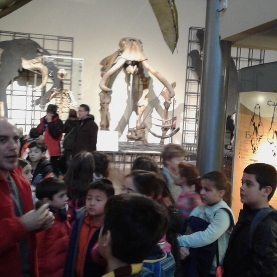 VISITA AL MUSE DE CIENCIAS 3ºA 6