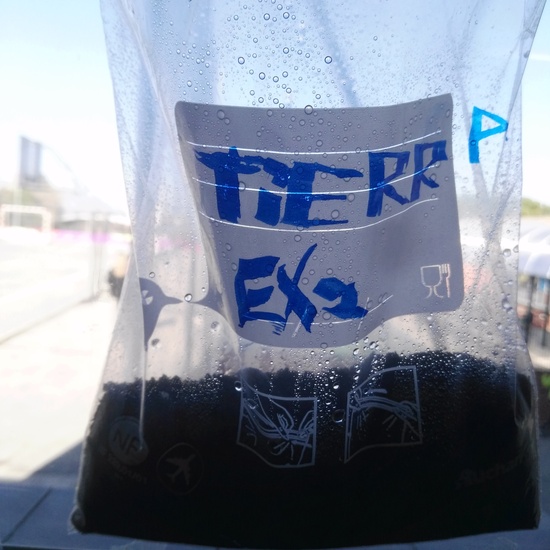 2019_05_El huerto del cole no para...CEIP FDLR_Las Rozas 12