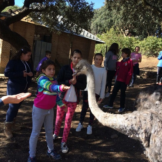 Mohernando 2017_4 18