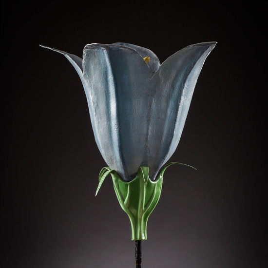 IES_SANISIDRO_MUSEO_Botanica_004