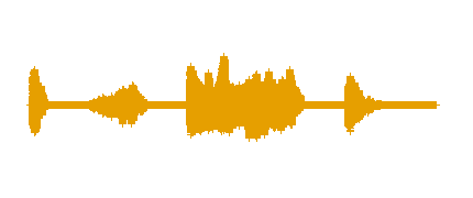 tico1_audio22122.mp3