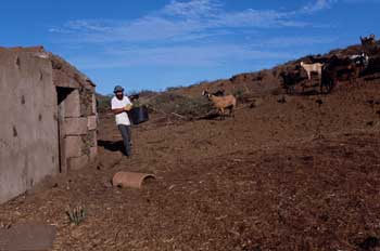 Explotación ganadera