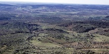 Dehesa extremeña - Alburquerque, Badajoz