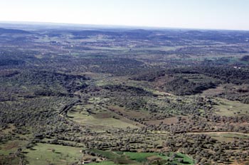 Dehesa extremeña - Alburquerque, Badajoz