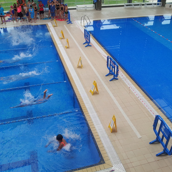 2017_03_28_Olimpiadas Escolares_Natación_Fernando de los Rios 13