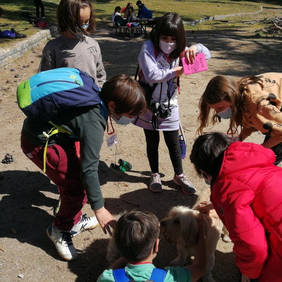 JORNADAS TEMÁTICAS 2021 