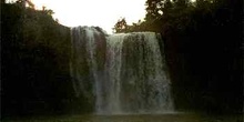 Catarata cercana a Hikurangi, vista desde abajo, Nueva Zelanda