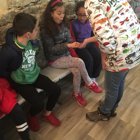 2020_02_27_3º visita Insectpark (2)_CEIP FDLR_Las Rozas 14