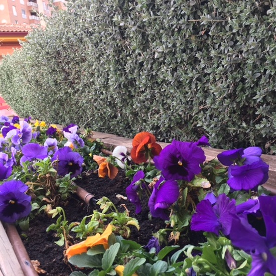 Galería CPEE Sor Juana Inés de la Cruz 3