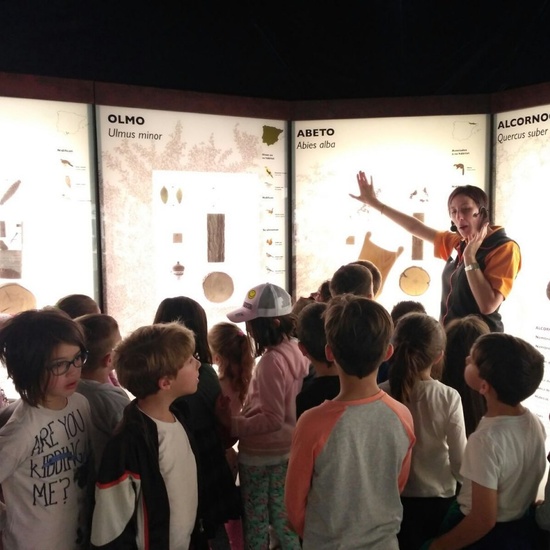 Visita a la exposición El Bosque. 1º 2º Primaria. CEIP Pinocho. 2016/17 31