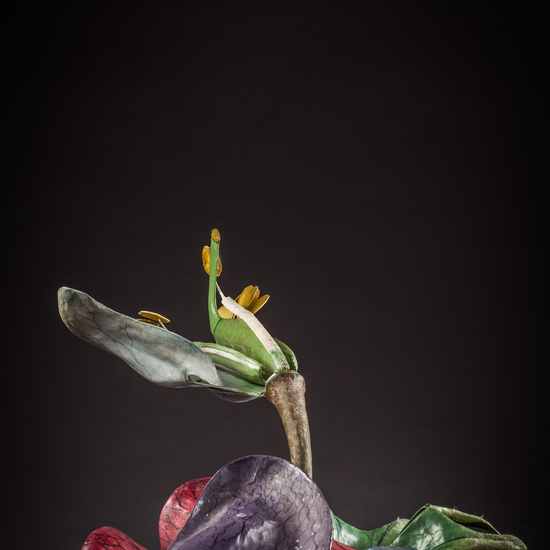 IES_ISABELLACATOLICA_BIOLOGIA_171