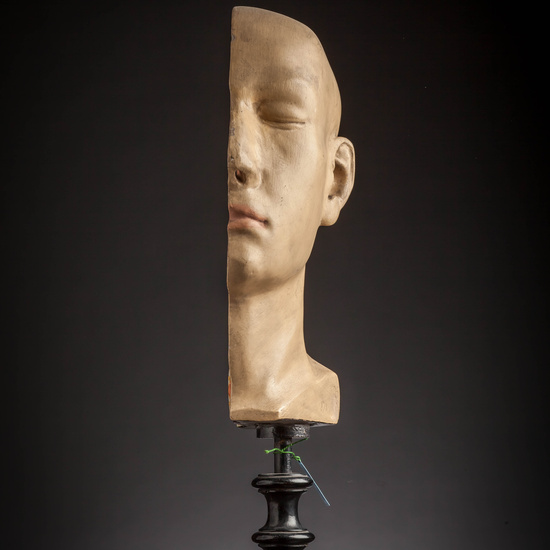 IES_CARDENALCISNEROS_ANATOMIA_MODELOS_065