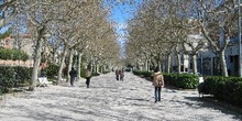 Passeig Verdaguer, Igualada, Barcelona