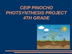 FOTOSÍNTESIS 4º. CEIP PINOCHO 2017/18