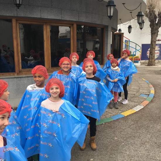 3º de Primaria visita Codan 7