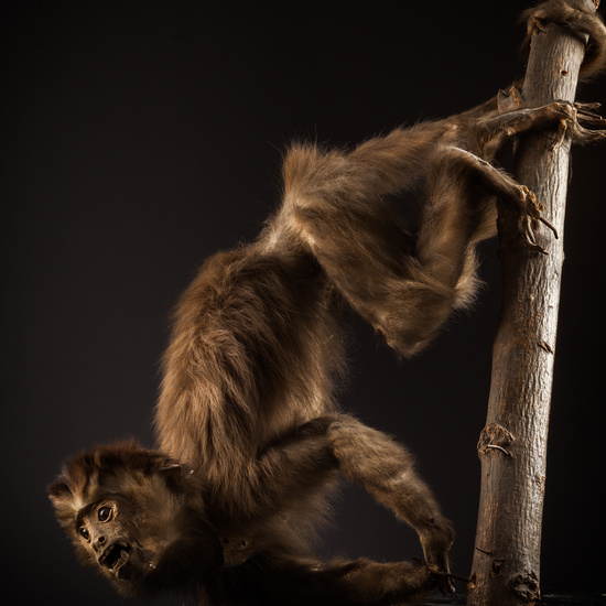 IES_SANISIDRO_BIOLOGIA_138