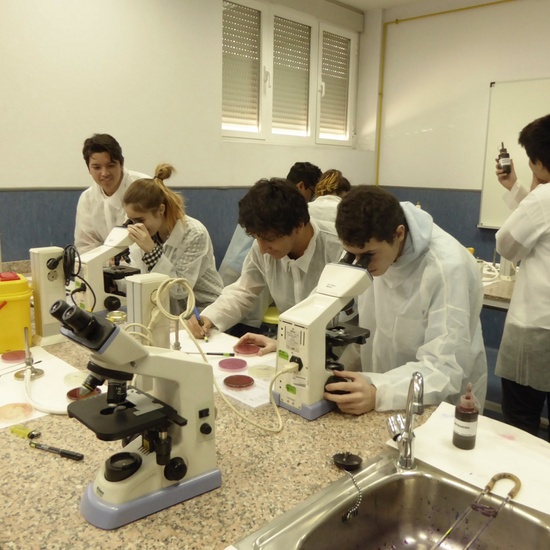 visita facultad veterinaria 2016 1