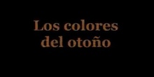 Los colores del otoño-prueba de edicion