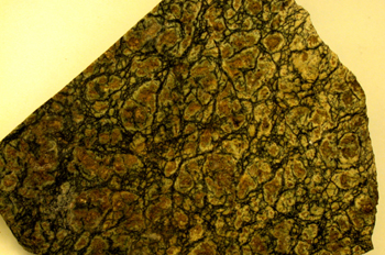 Serpentinita fajeada (Málaga. Sierra Bermeja)