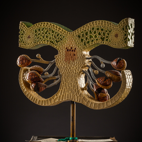 IES_SANISIDRO_BIOLOGIA_229