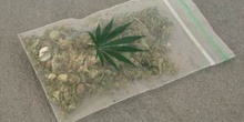 Bolsa de marihuana