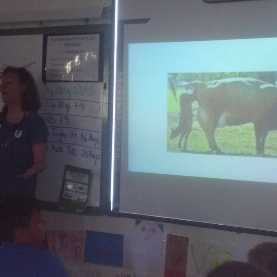 Cuarto A y B celebra el Día de la Familia con sorpresas..._CEIP FDLR_Las Rozas 19