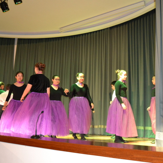 Fiesta de los abuelos 2018  44