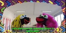 Bob the Sock (sock puppet)